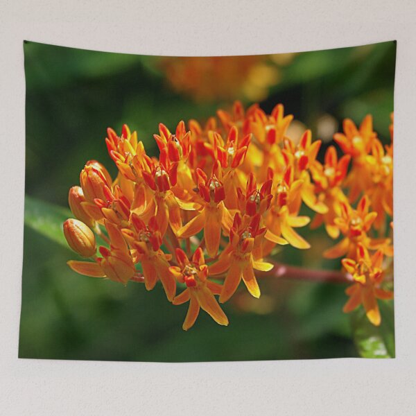 Item preview, Butterflyweed designed and sold by rvjames.