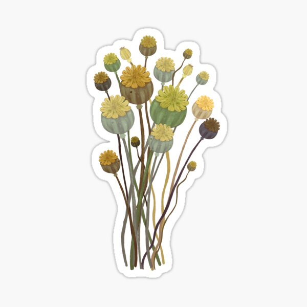 Item preview, Poppy Seed Heads designed and sold by Amanda Carter.