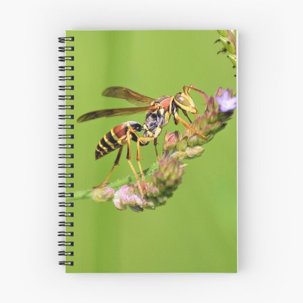 Item preview, Male Paper Wasp designed and sold by What I See by Dawne.