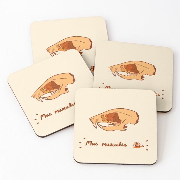 Item preview, Mouse (Mus musculis) skull with text designed and sold by NotSarry.