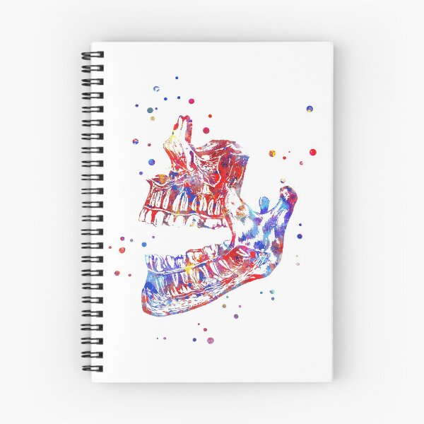 Item preview, Human mandible, mandible, watercolor mandible, mandible art designed and sold by Rosaliartbook.