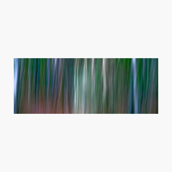 Living colours Photographic Print