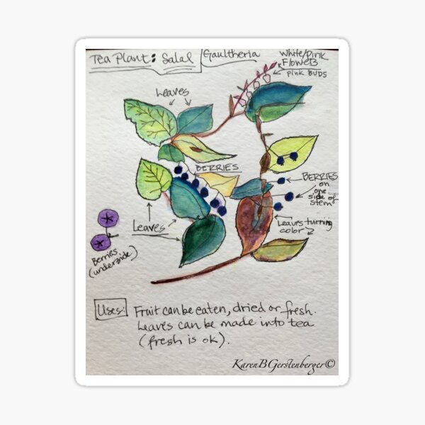 Item preview, Salal designed and sold by Karen Gerstenberger.