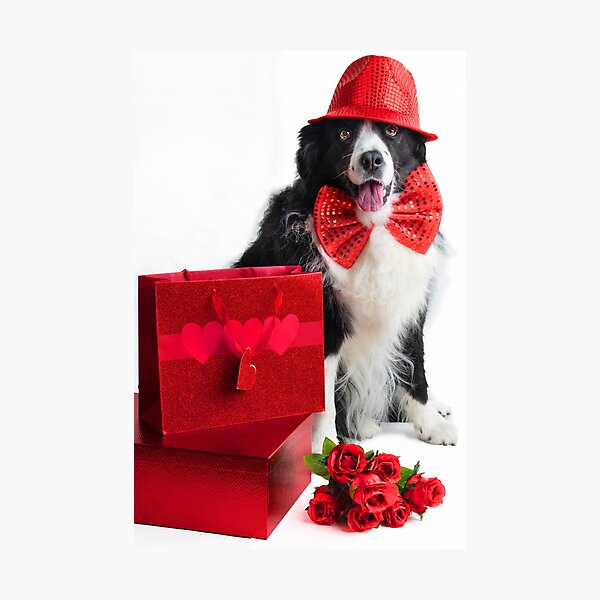Item preview, Valentine designed and sold by annibels.