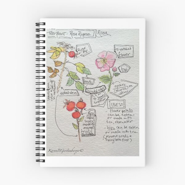Item preview, Rosa Rugosa designed and sold by Karen Gerstenberger.