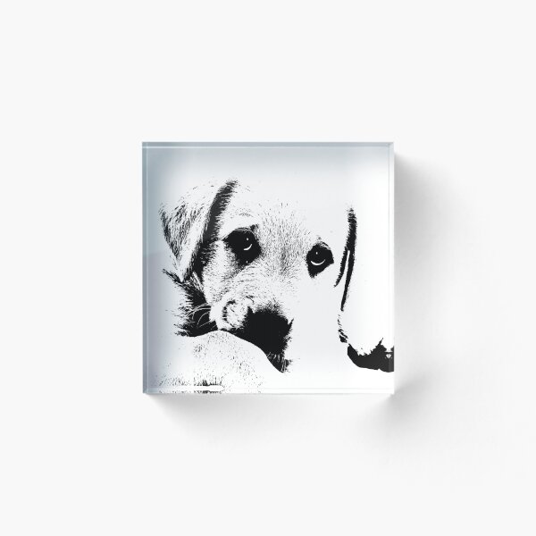 Item preview, Perro mono designed and sold by CodingBee33.