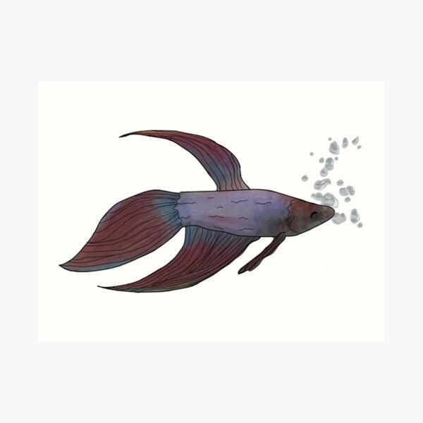 Fish with white Art Print