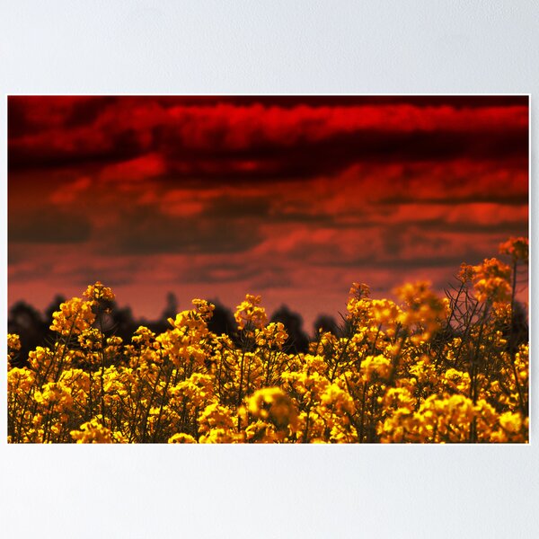 Item preview, And the sky wept blood to feed the lustful earth designed and sold by Maree Cardinale.