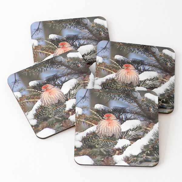 Item preview, Brrrr, it's Cold Up Here! designed and sold by Claude Johnson.