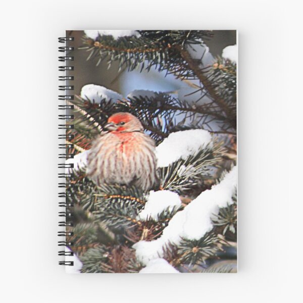 Item preview, Brrrr, it's Cold Up Here! designed and sold by Claude Johnson.