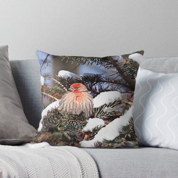 Item preview, Brrrr, it's Cold Up Here! designed and sold by Claude Johnson.