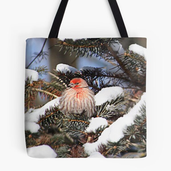 Item preview, Brrrr, it's Cold Up Here! designed and sold by Claude Johnson.