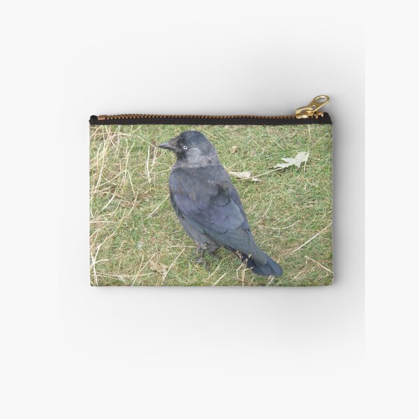 Item preview, Western Jackdaw with a Beady Eye Photograph designed and sold by naturegallery.
