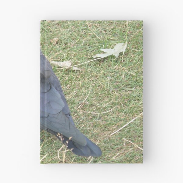 Item preview, Western Jackdaw with a Beady Eye Photograph designed and sold by naturegallery.