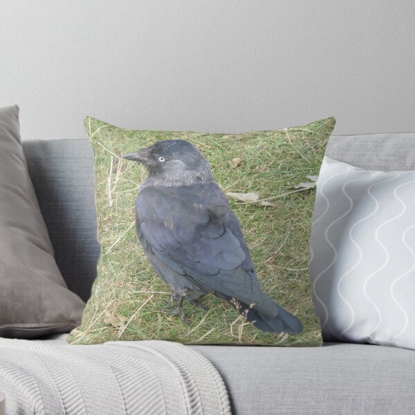 Item preview, Western Jackdaw with a Beady Eye Photograph designed and sold by naturegallery.