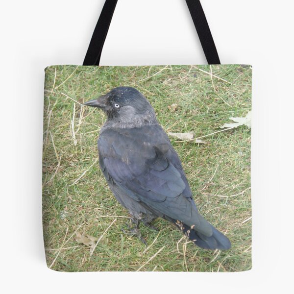 Item preview, Western Jackdaw with a Beady Eye Photograph designed and sold by naturegallery.