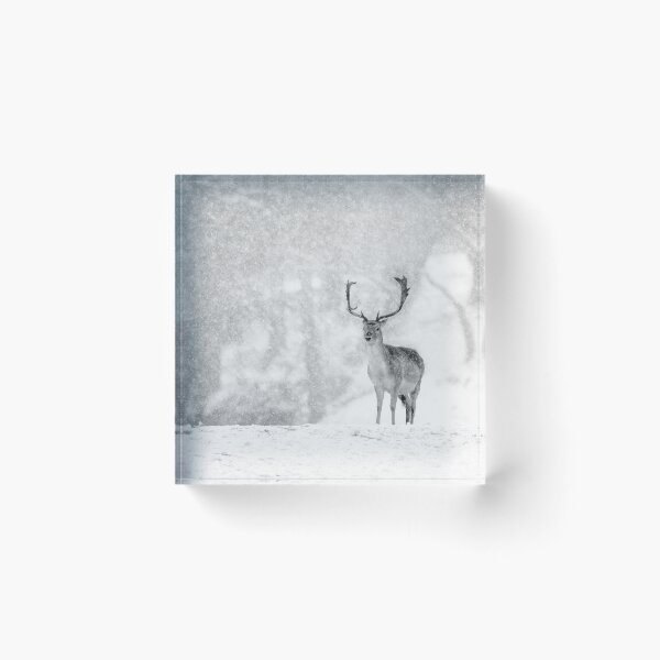 Item preview, A Stag In The Snow designed and sold by Patricia Jacobs.
