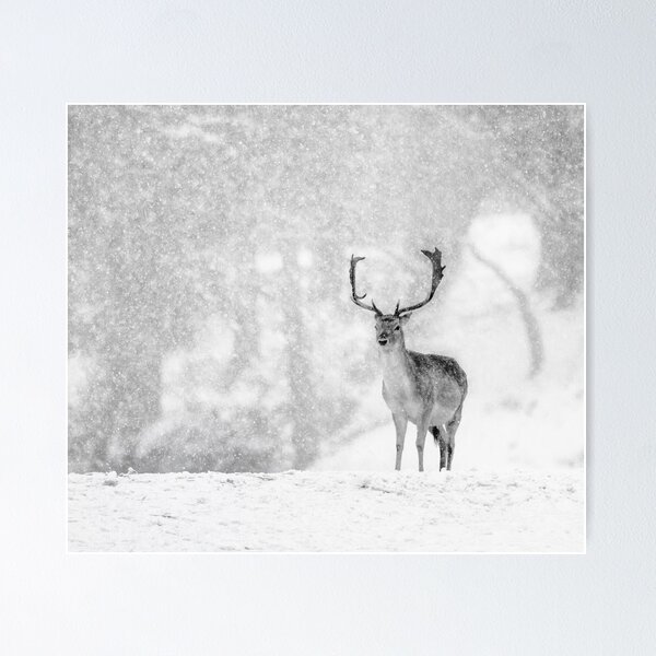 Aperçu de l'œuvre Un cerf dans la neige créée et vendue par Patricia Jacobs.