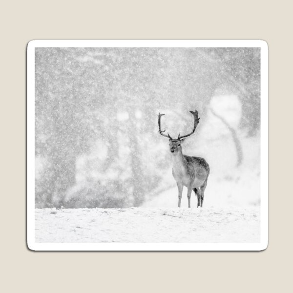 Item preview, A Stag In The Snow designed and sold by Patricia Jacobs.