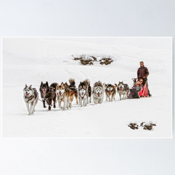 Item preview, Dog Sledding designed and sold by Patricia Jacobs.