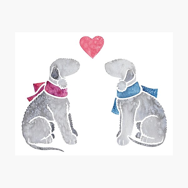 Item preview, Watercolour Bedlington Terrier pair designed and sold by animalartbyjess.