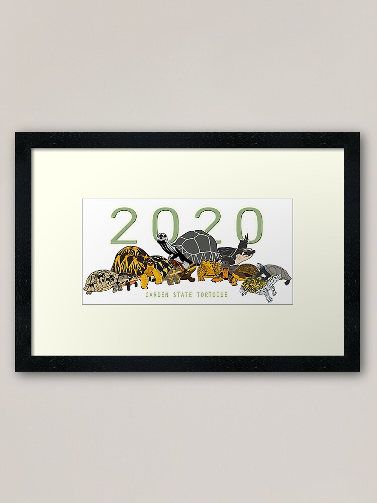 Garden State Tortoise 2020 Exclusive Framed Art Print By