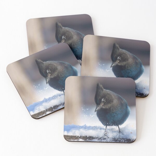 Item preview, Stellar's Jay in the Snow designed and sold by Vivar Photo.