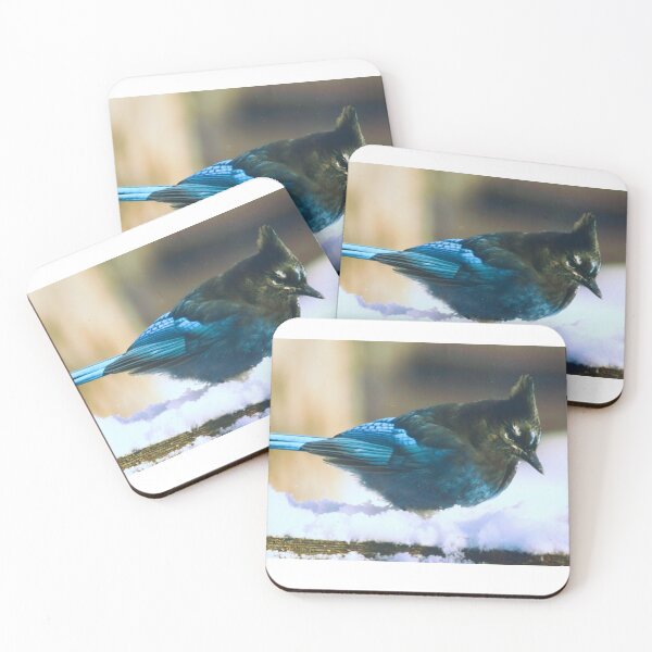 Item preview, Winter Stellar's Jay designed and sold by Vivar Photo.