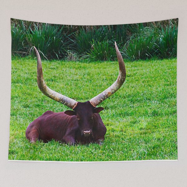 Item preview, Ankole Cattle in the Wild designed and sold by VickyGood.
