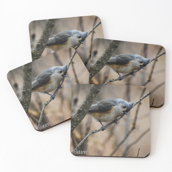 Item preview, Little bird designed and sold by photobyjr.