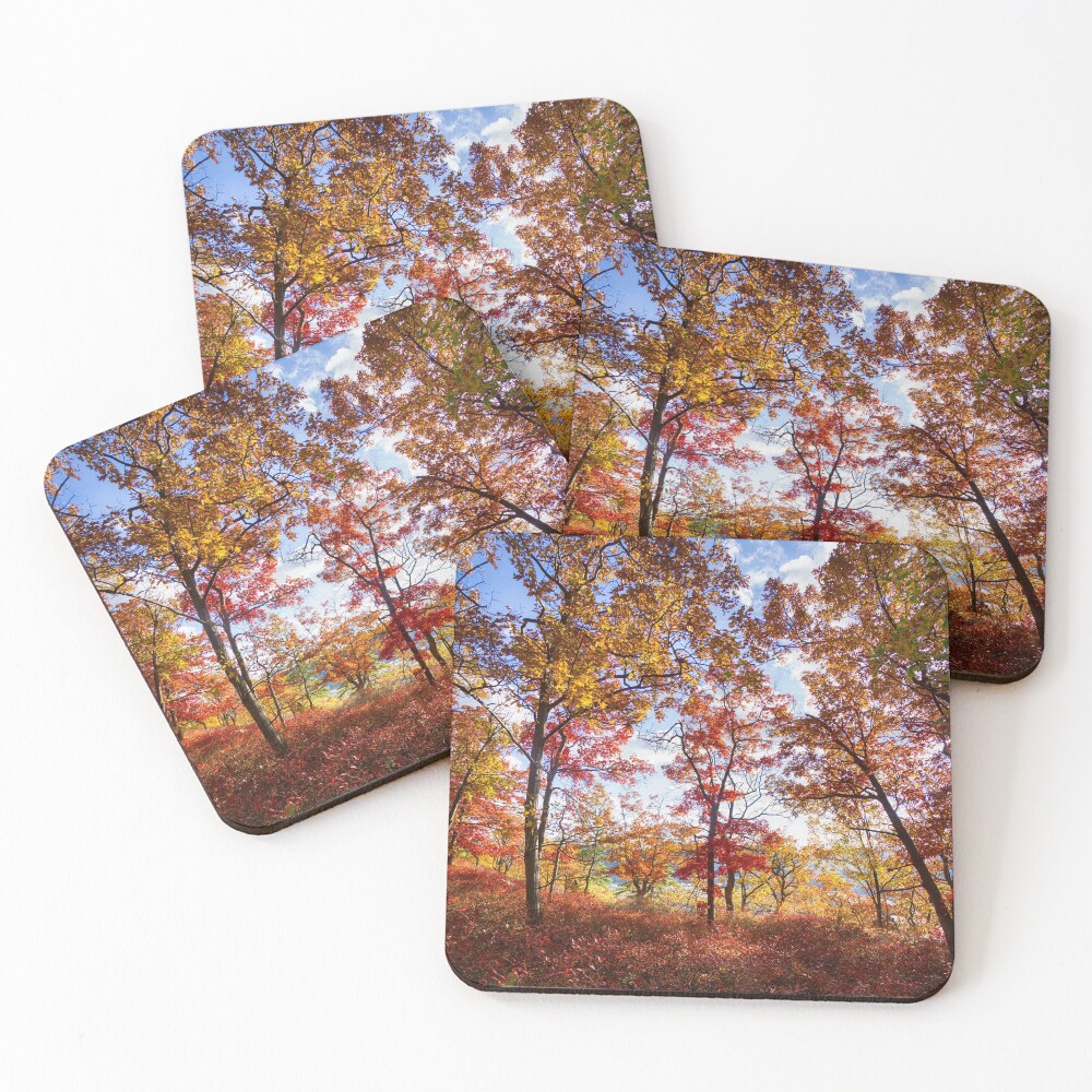 Item preview, Coasters (Set of 4) designed and sold by VickyGood.