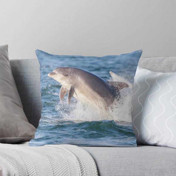 Item preview, Breaching aldult bottlenose dolphins with eye ?  looking at the camera designed and sold by chanonry.