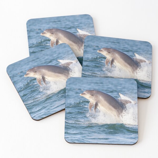 Item preview, Breaching aldult bottlenose dolphins with eye ?  looking at the camera designed and sold by chanonry.