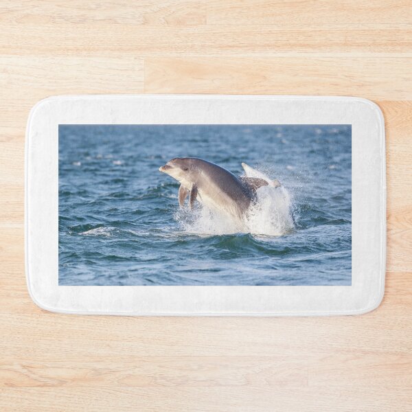 Item preview, Breaching aldult bottlenose dolphins with eye ?  looking at the camera designed and sold by chanonry.