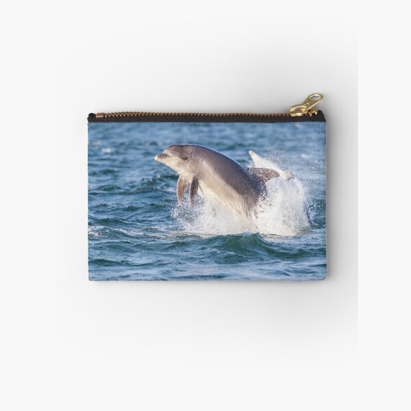 Item preview, Breaching aldult bottlenose dolphins with eye ?  looking at the camera designed and sold by chanonry.