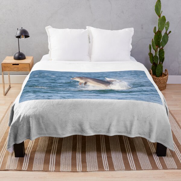Item preview, Breaching aldult bottlenose dolphins with eye ?  looking at the camera designed and sold by chanonry.