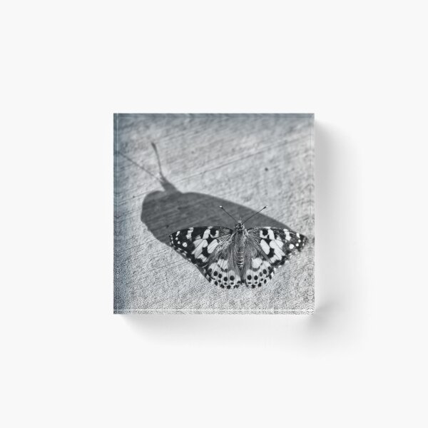 Item preview, Butterfly Shadow designed and sold by Elisabeth Lucas.