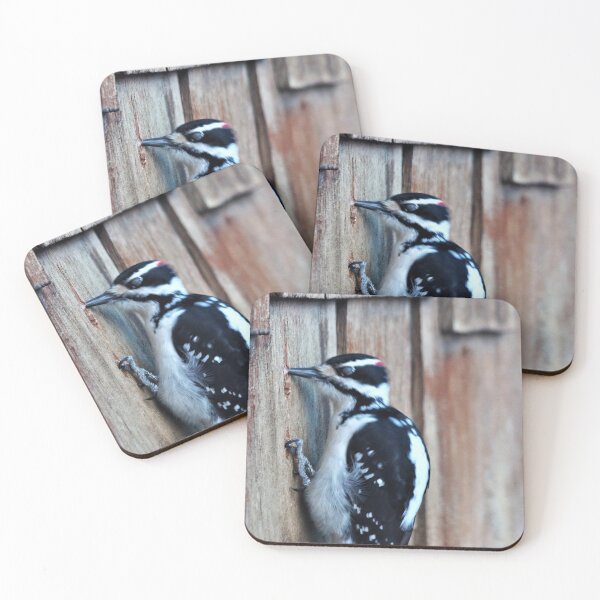 Item preview, Little Woodpecker designed and sold by Vivar Photo.