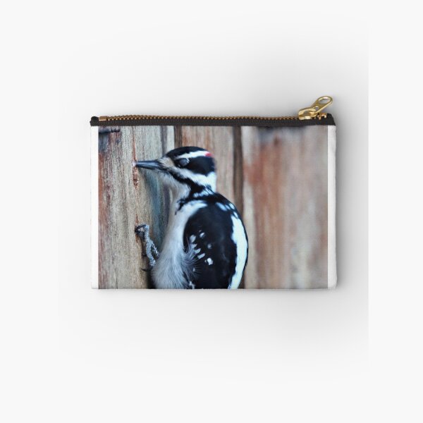 Item preview, Little Woodpecker designed and sold by Vivar Photo.