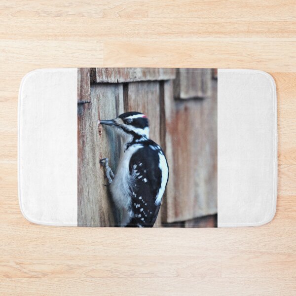Item preview, Little Woodpecker designed and sold by Vivar Photo.