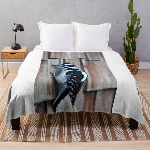 Item preview, Little Woodpecker designed and sold by Vivar Photo.