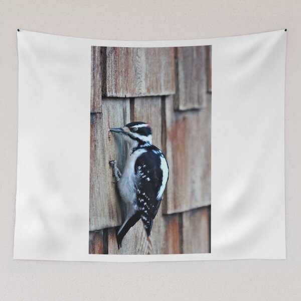 Item preview, Little Woodpecker designed and sold by Vivar Photo.