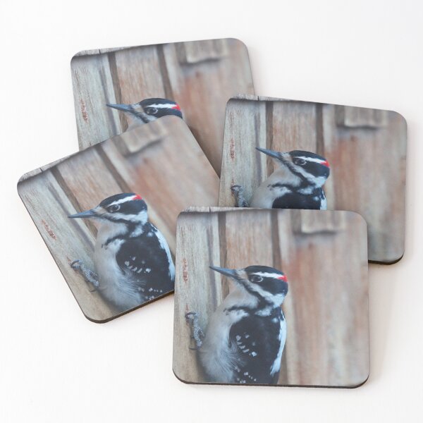 Item preview, Woodpecker Pecking designed and sold by Vivar Photo.