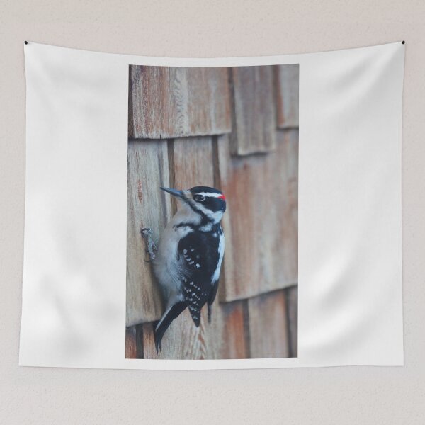 Item preview, Woodpecker Pecking designed and sold by Vivar Photo.