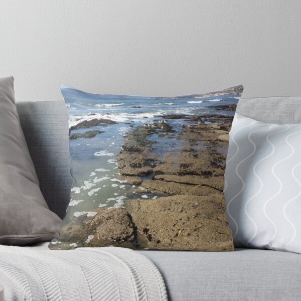 Item preview, Tide Pooling  designed and sold by Adventurersyd.