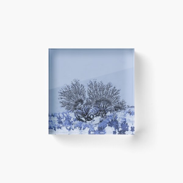 Item preview, Dendrites designed and sold by JBlaminsky.