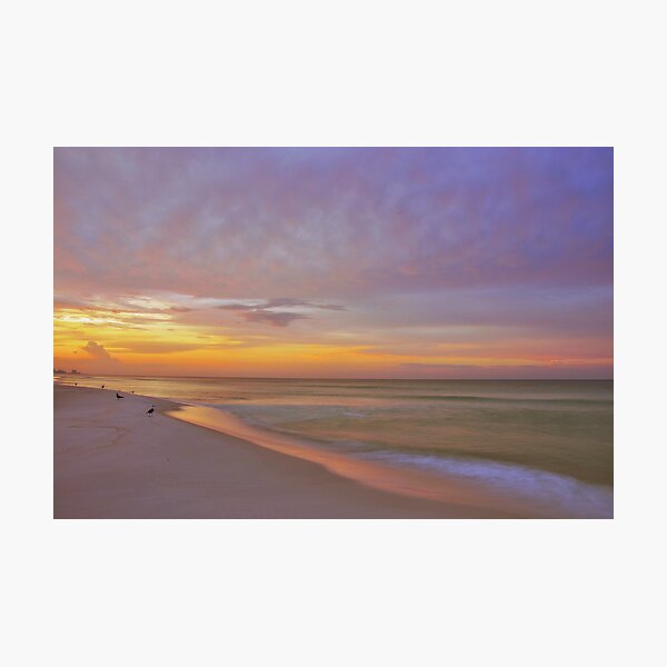 Aperçu de l'œuvre Pastel Sunrise créée et vendue par Chris Ferrell.