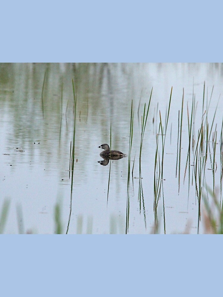 Thumbnail 3 of 3, Scarf, Grebe In The Reeds designed and sold by debop1.