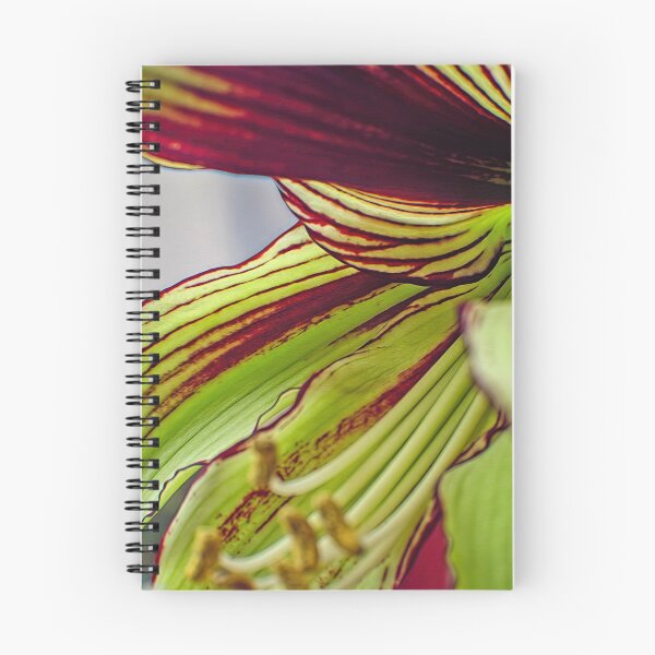 Item preview, Ready for my Close-up designed and sold by Eileen McVey.