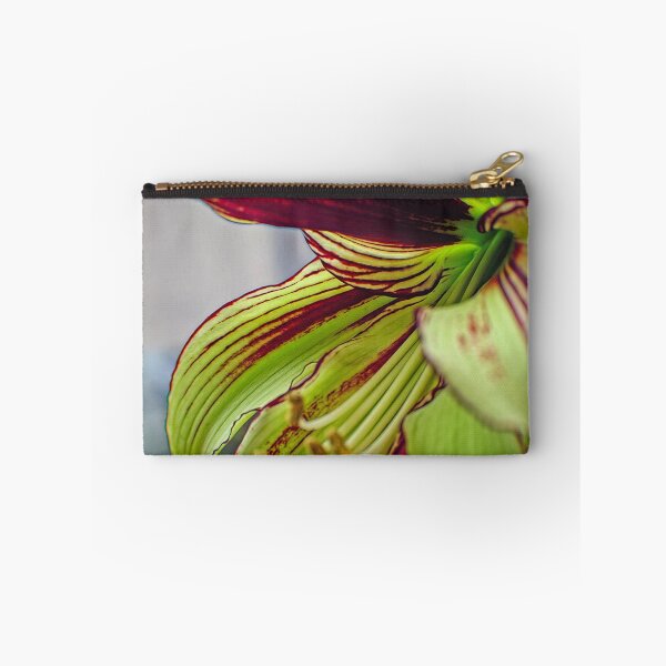 Item preview, Ready for my Close-up designed and sold by Eileen McVey.